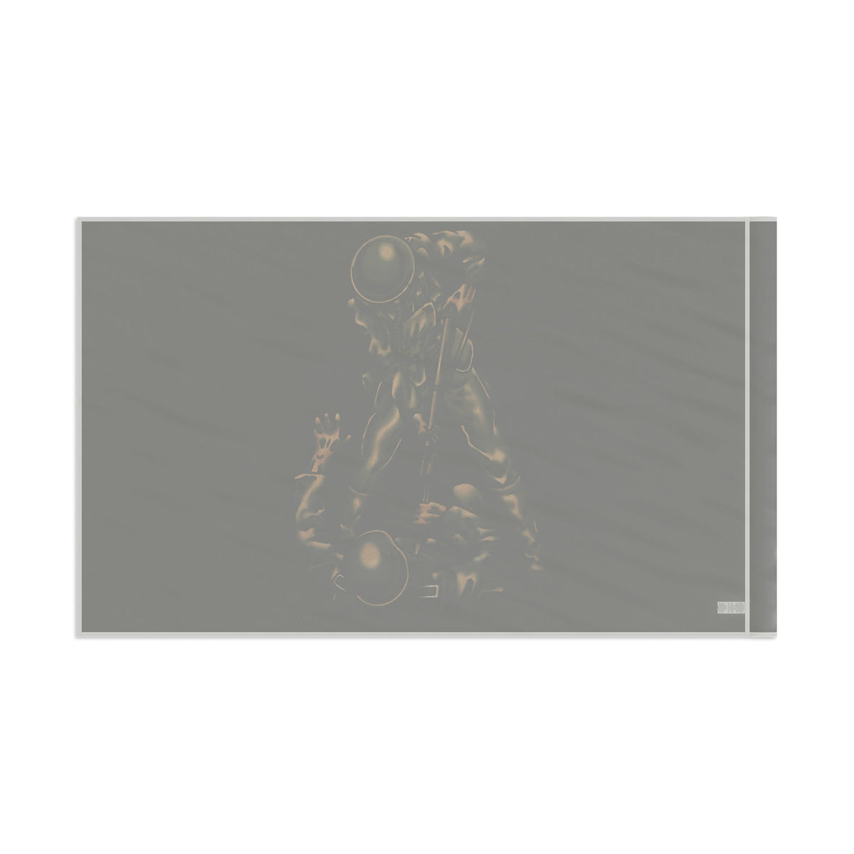 Belleau Wood Marine - Flag